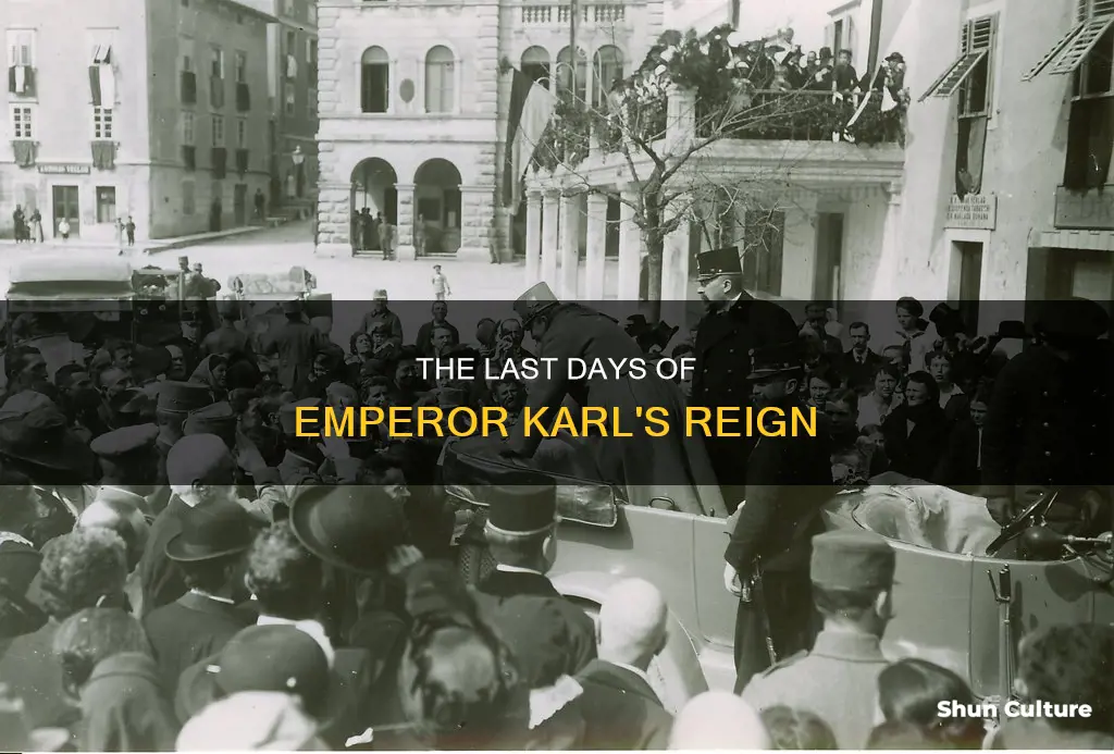 when did emperor karl of austria abdicate
