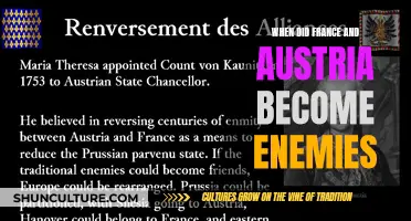 France and Austria: Enemies Since the Early Modern Era