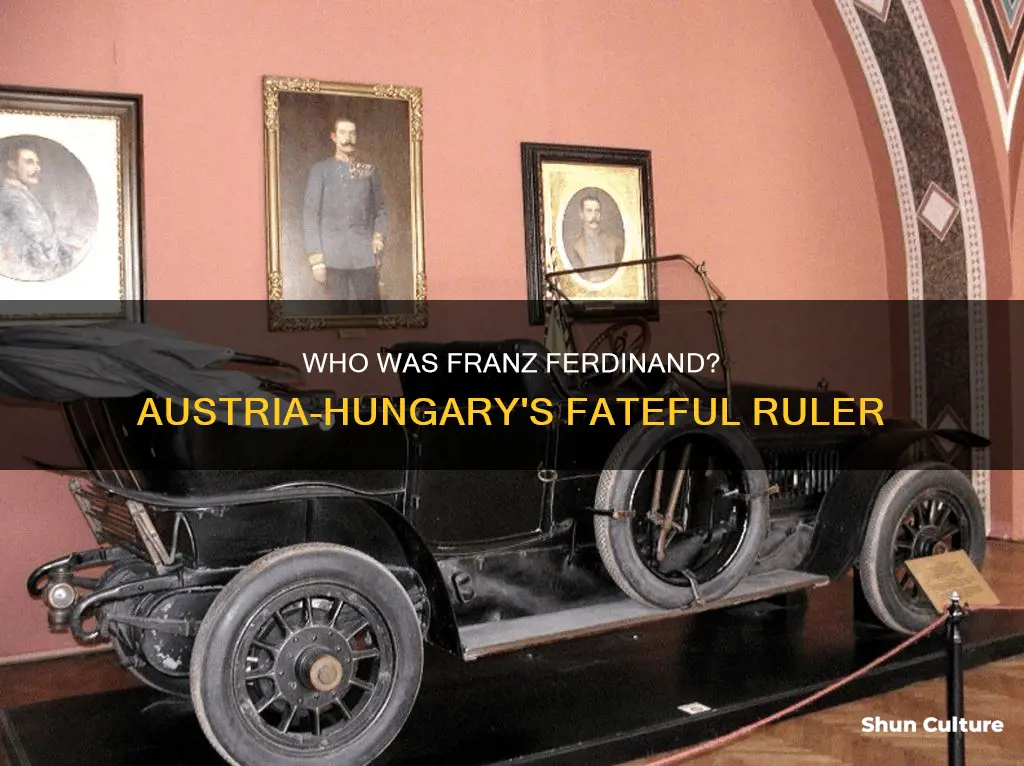 when did franz ferdinand become the ruler of austria hungary