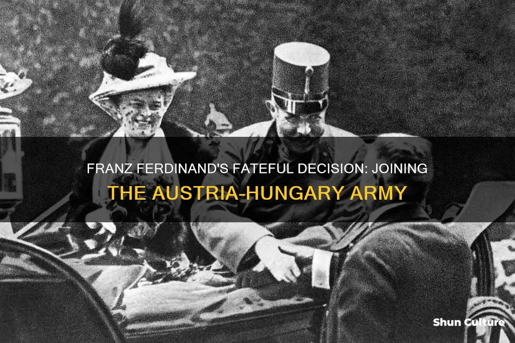 when did franze ferdidnad jone the austria hungary army