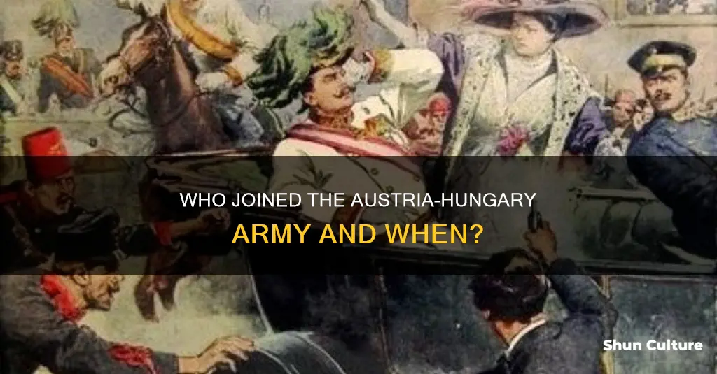 when did franze ferdidnad jone the austria hungary army