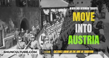 German Troops in Austria: The Fateful Day