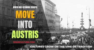 German Troops' Advance: Austria's Fateful Day