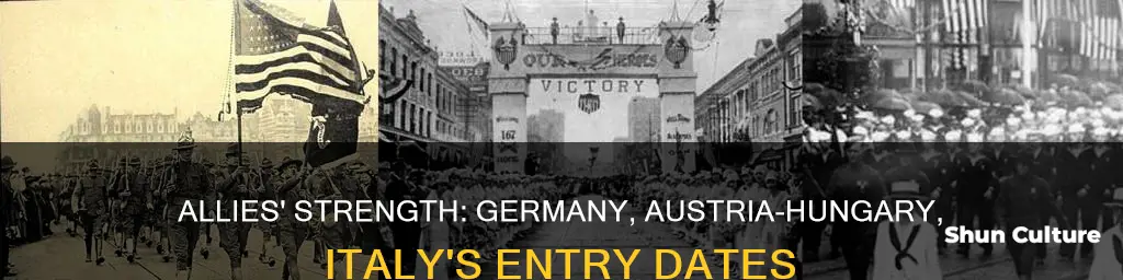 when did germany and austria hungary italy joined allies