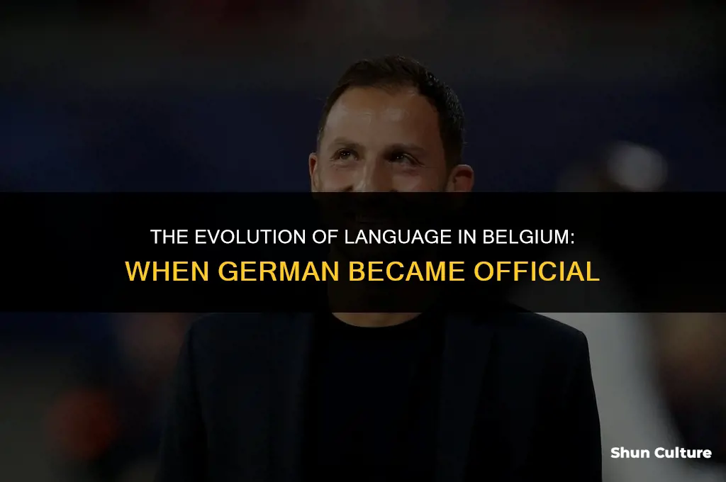 when did germany become an official language of belgium
