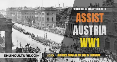 Germany's Role in Austria's Descent into War