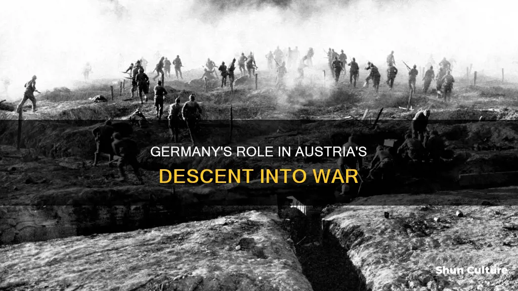 when did germany begin to assist austria ww1