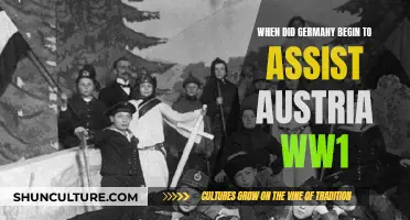 Germany's Support for Austria: The Spark of World War I