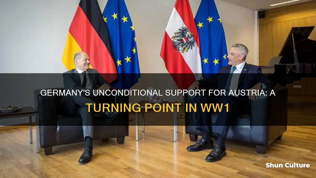 when did germany give austria uncondiional support in ww1