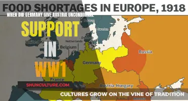 Austria's Unconditional Support: Germany's WW1 Commitment