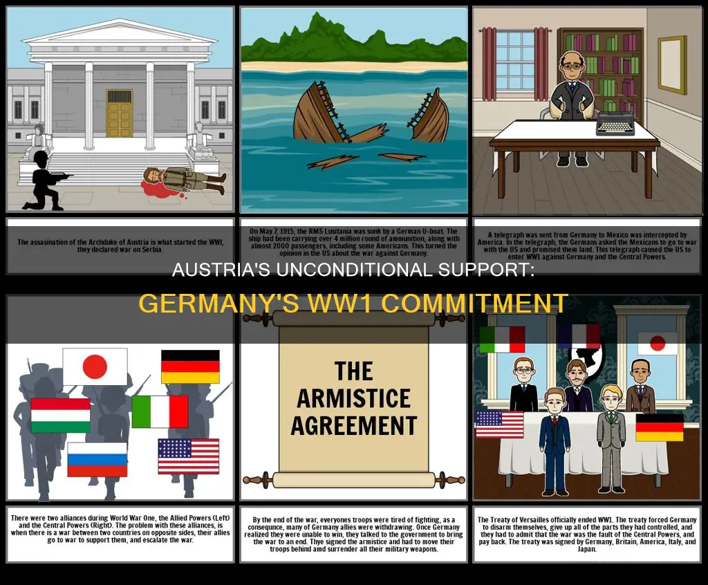 when did germany give austria uncondiional support in ww1