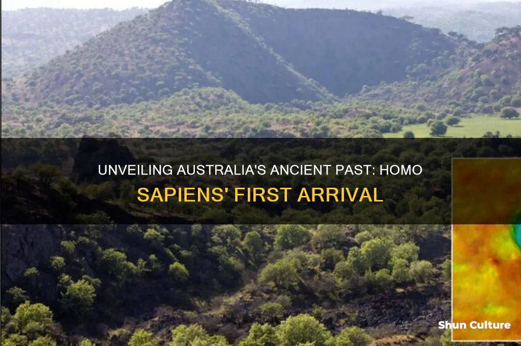 when did homo sapiens first appear in australia