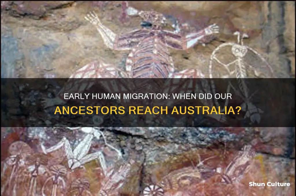 when did humans first leave africa and go to australia