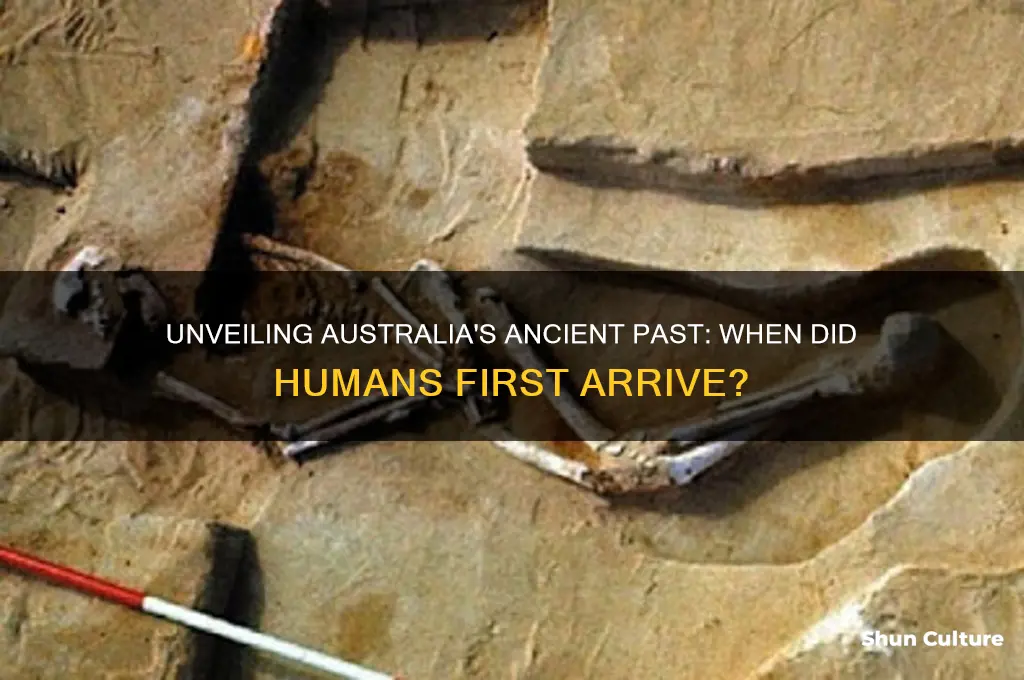 when did humans first make it to australia