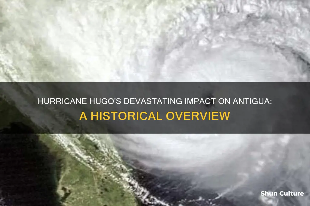when did hurricane hugo hit antigua