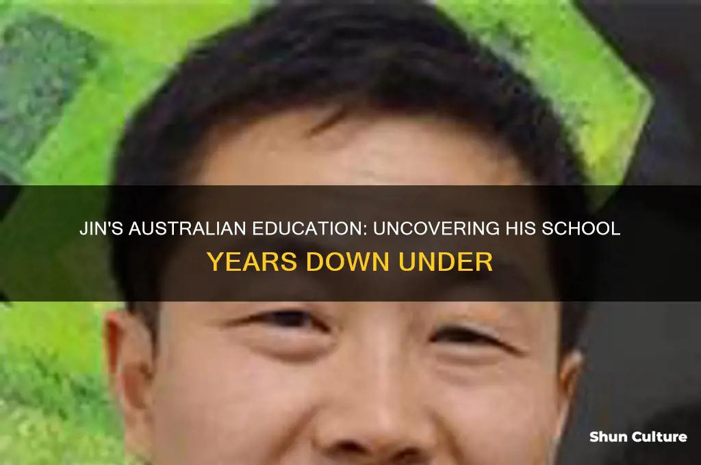 when did jin go to school in australia