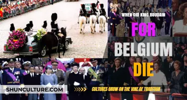 The Tragic Demise of King Boudain: A Turning Point in Belgian History
