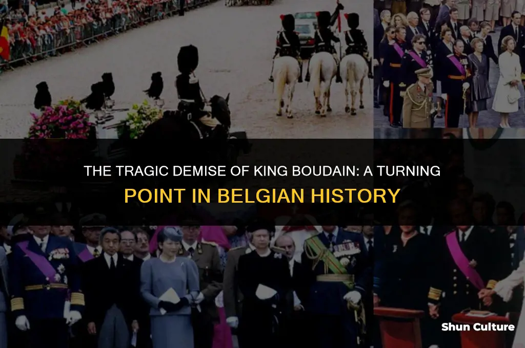 when did king boudain for belgium die