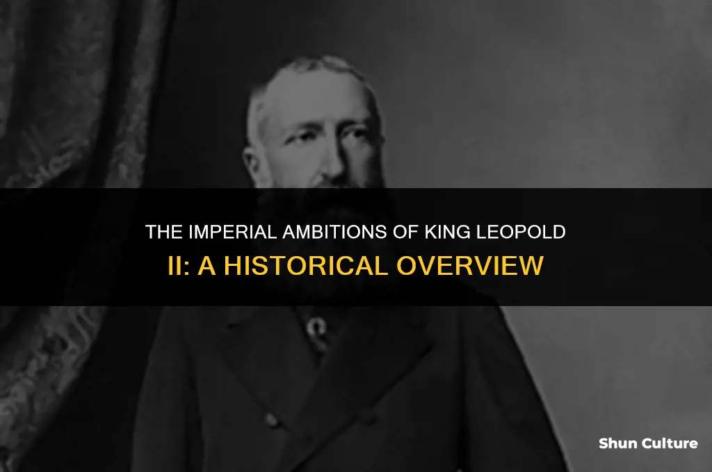 when did king leopold ii imperialize belgium