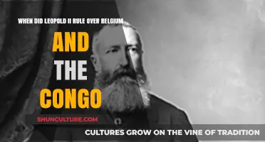 Leopold II's Reign: Belgium and Congo's Shared History