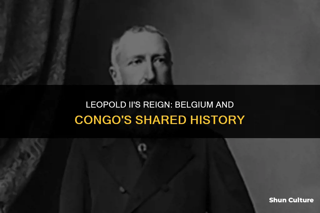 when did leopold ii rule over belgium and the congo