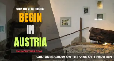 Metallurgy's Ancient Roots: Austria's Early Industrial Revolution