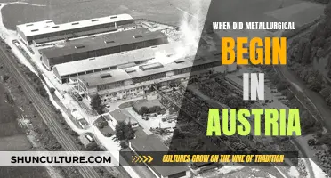 The Early History of Austrian Metallurgy