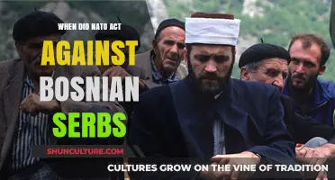 NATO's Intervention: When the Alliance Acted Against Bosnian Serbs