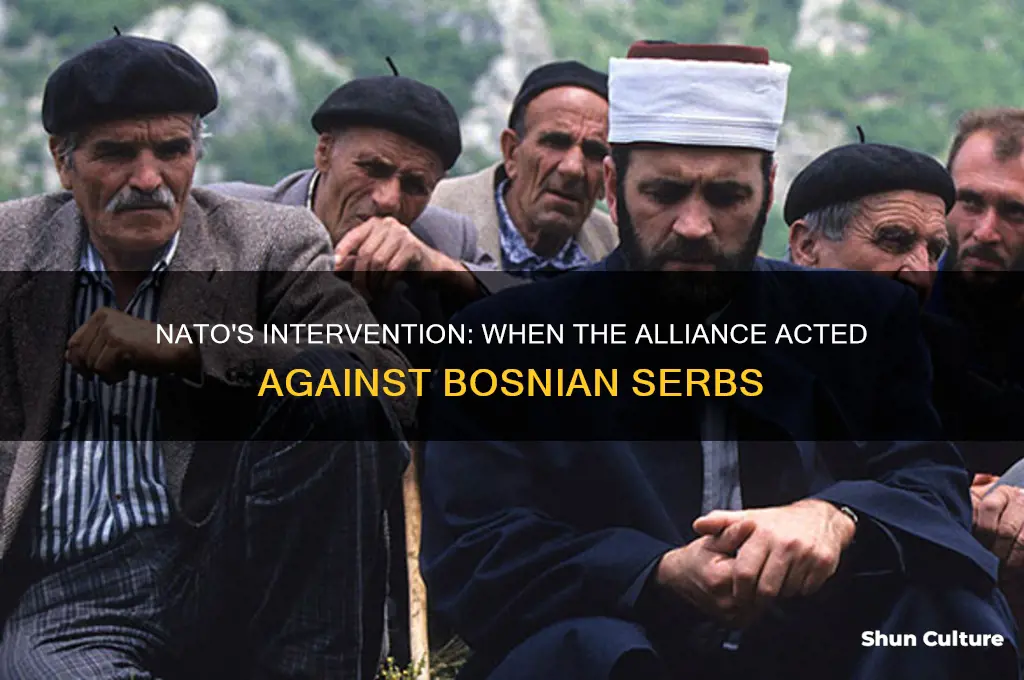 when did nato act against bosnian serbs
