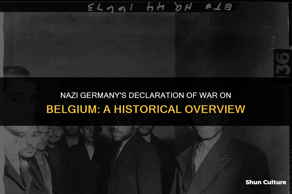 when did nazi gemany declare war on belgium