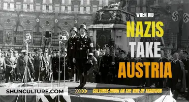 Nazis' Rapid March: Austria's Fall in 1938