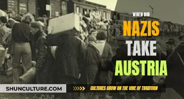 Austria's Fall: Nazi Annexation in 1938