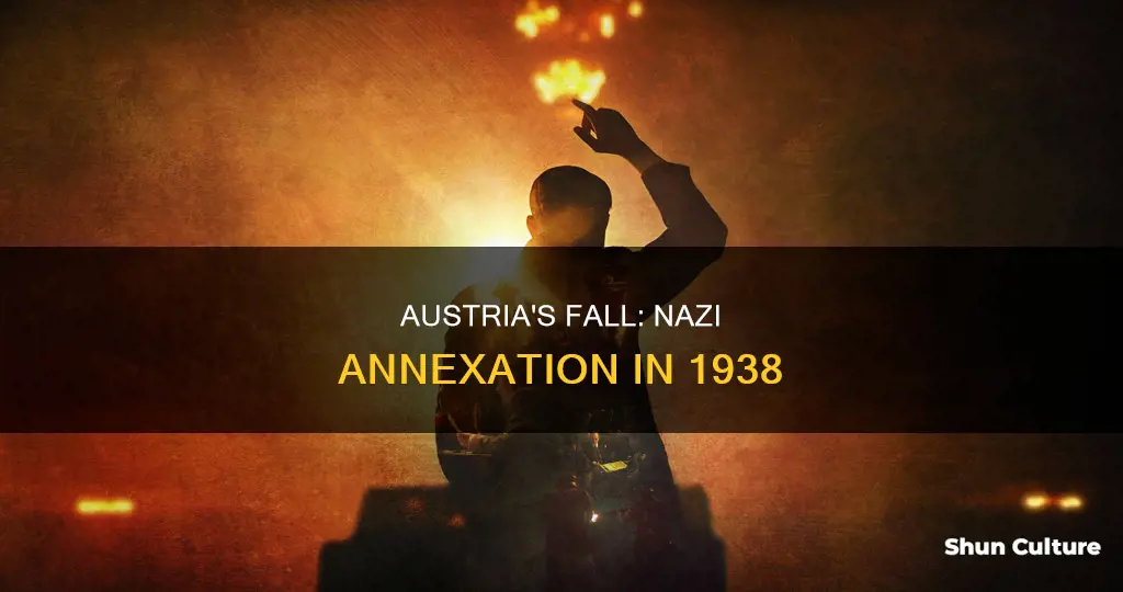 when did nazis take austria