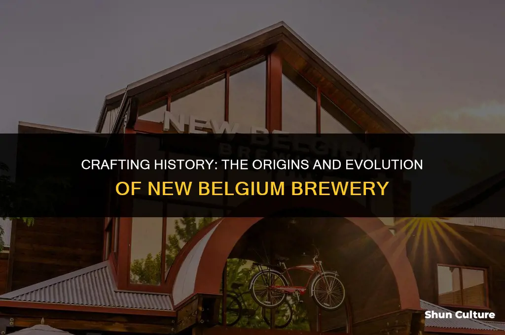 when did new belgium brewery start