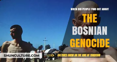 Unveiling the Bosnian Genocide: When the World Discovered the Atrocities