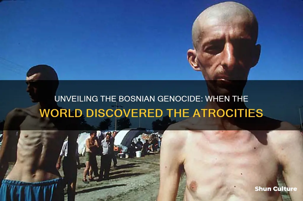 when did people find out about the bosnian genocide