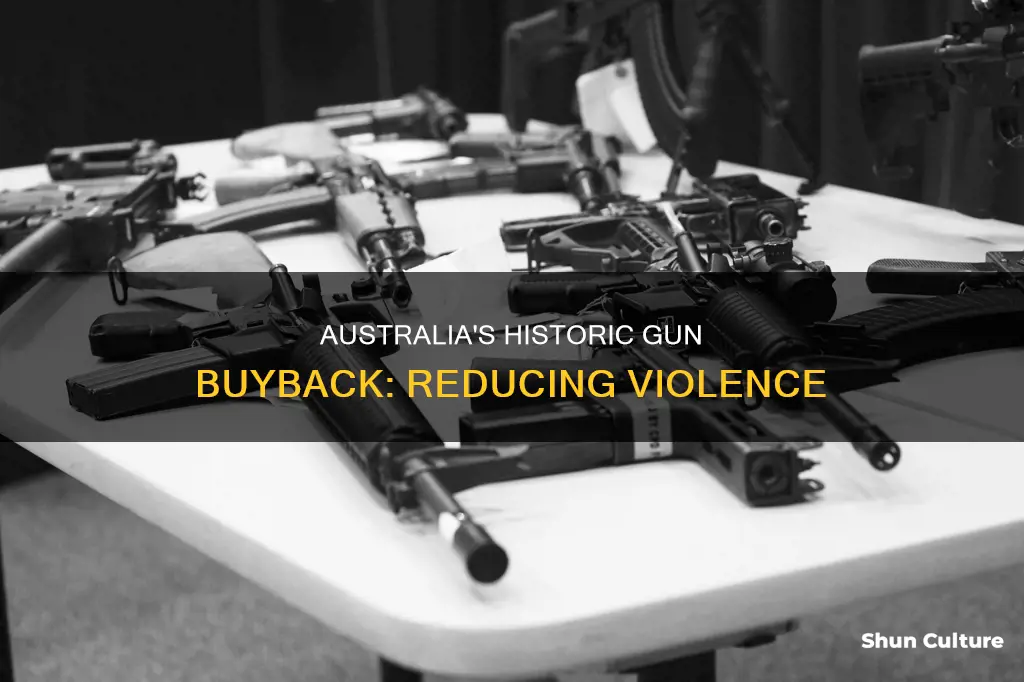 when did people in australia hand in guns