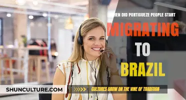 Portuguese Migration to Brazil: Tracing the Historical Journey and Timeline