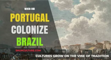 Portugal's Colonization of Brazil: A Historical Timeline and Overview