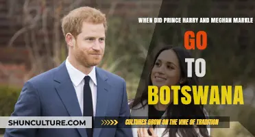 Prince Harry and Meghan Markle's Romantic Botswana Getaway: When Did They Go?