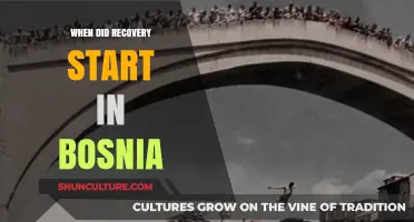 Bosnia's Recovery Journey: Tracing the Start of Post-War Reconstruction