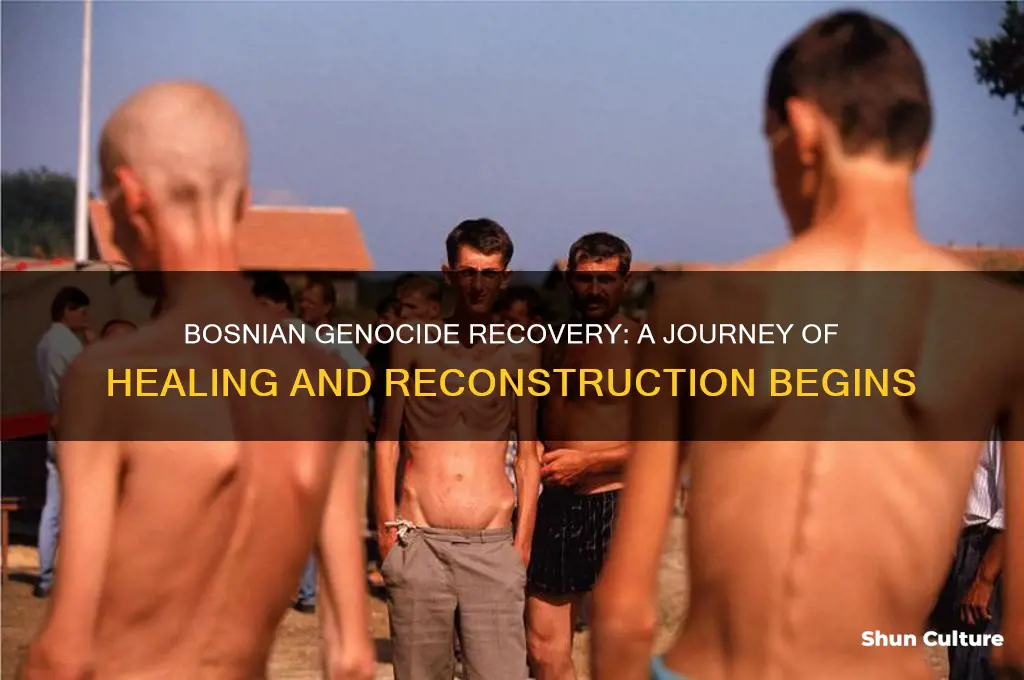 when did recovery start in bosnian genocide