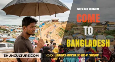 The Rohingya Exodus: Tracing Their Arrival in Bangladesh