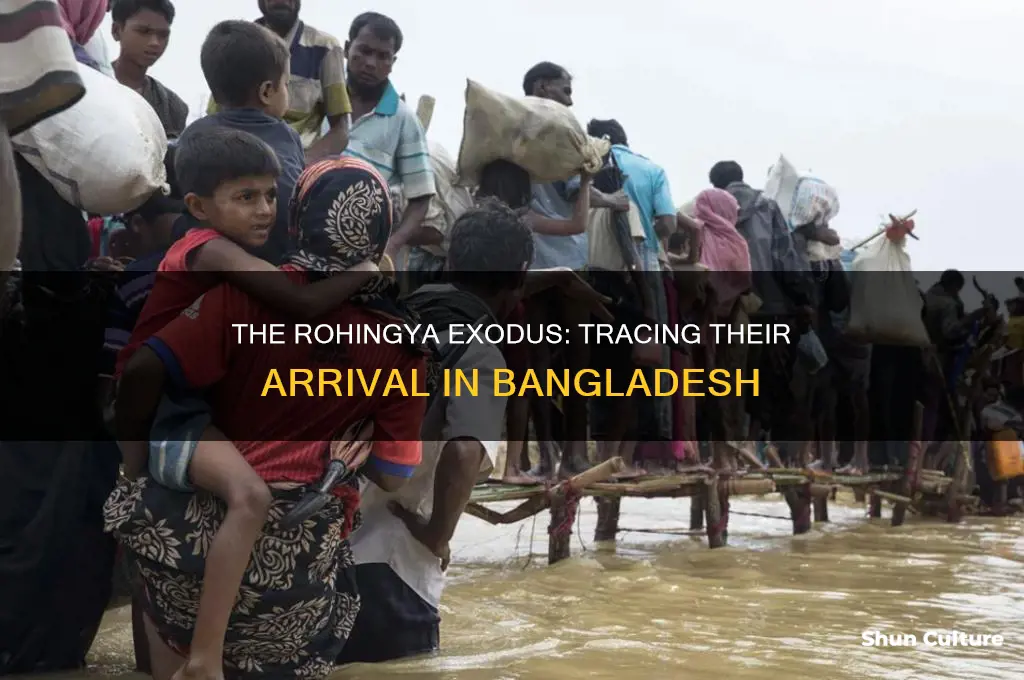 when did rohingya come to bangladesh