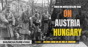 Russia's Entry into WWI: War Declaration on Austria-Hungary