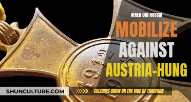Russia's Mobilization Against Austria-Hungary: What Triggered It?