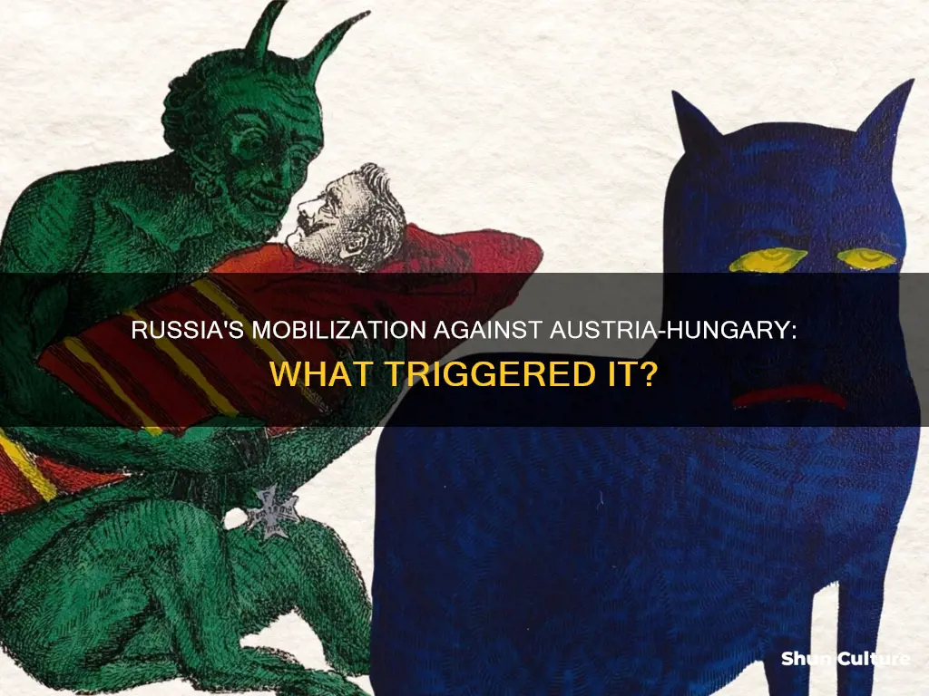 when did russia mobilize against austria-hungary