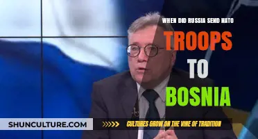 Russia's Role in NATO's Bosnia Deployment: A Historical Overview
