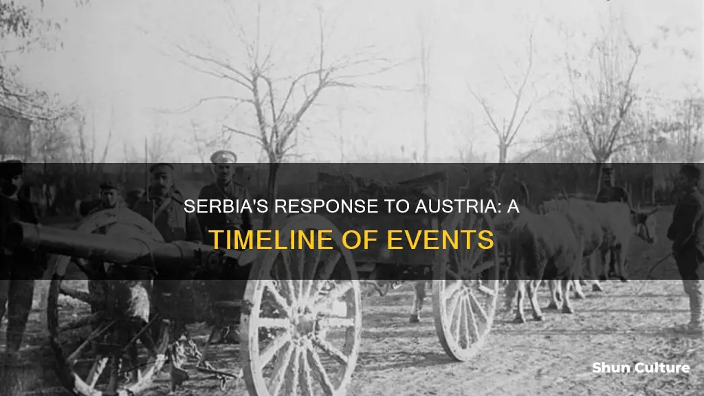 when did serbia respond to austria