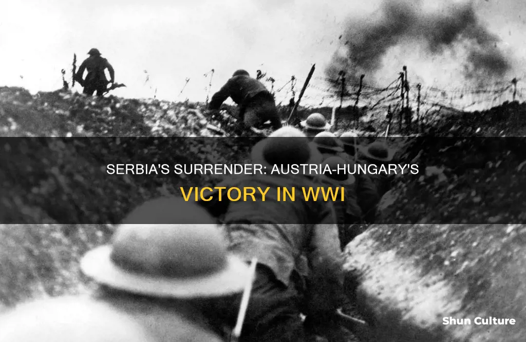 when did serbia surrendered to austria hungary